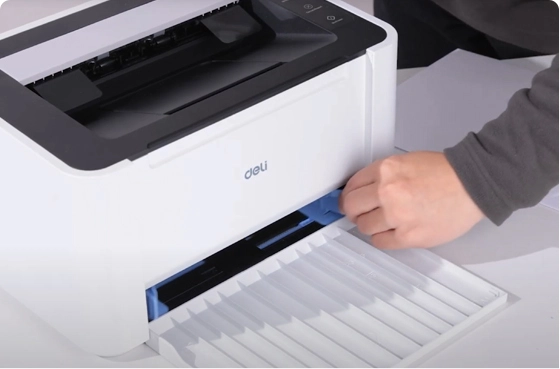 02 تغذية الورق والطاقة على