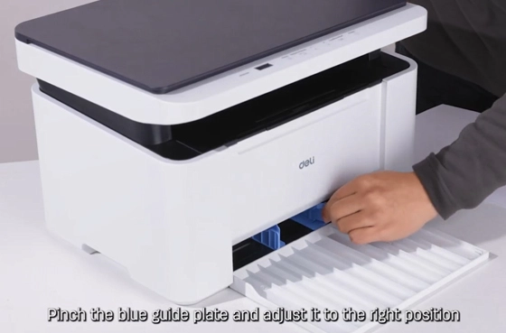 02 تغذية الورق والطاقة على