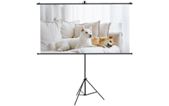 شاشة جهاز العرض