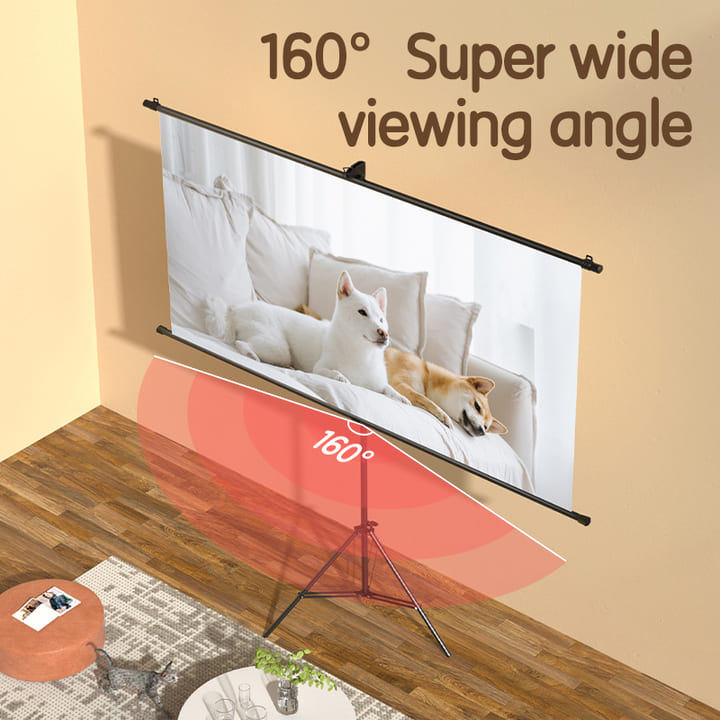 ​es901 72 inch bracket projector screen manufacturer