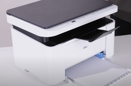 تغذية الورق والسلطة على