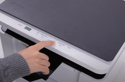 طباعة التقارير