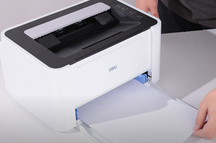 تغذية الورق والسلطة على